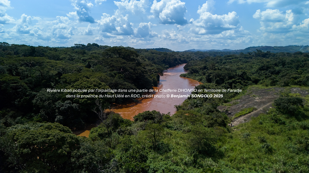 Biodiversité en Afrique centrale : science, éducation et information face aux défis de conservation