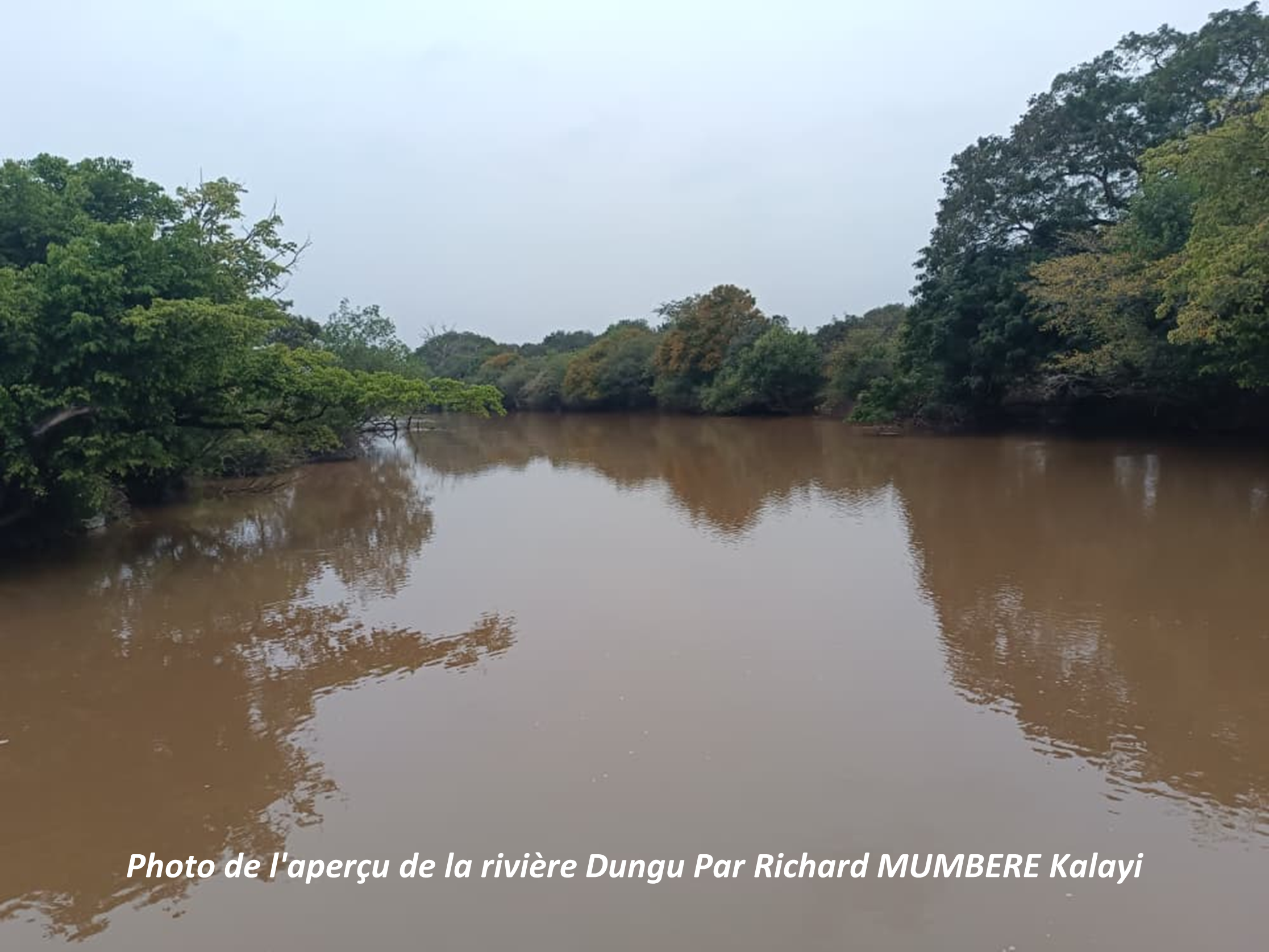 Biovertmedias : un nouveau média engagé au service de la biodiversité et du développement durable en Afrique