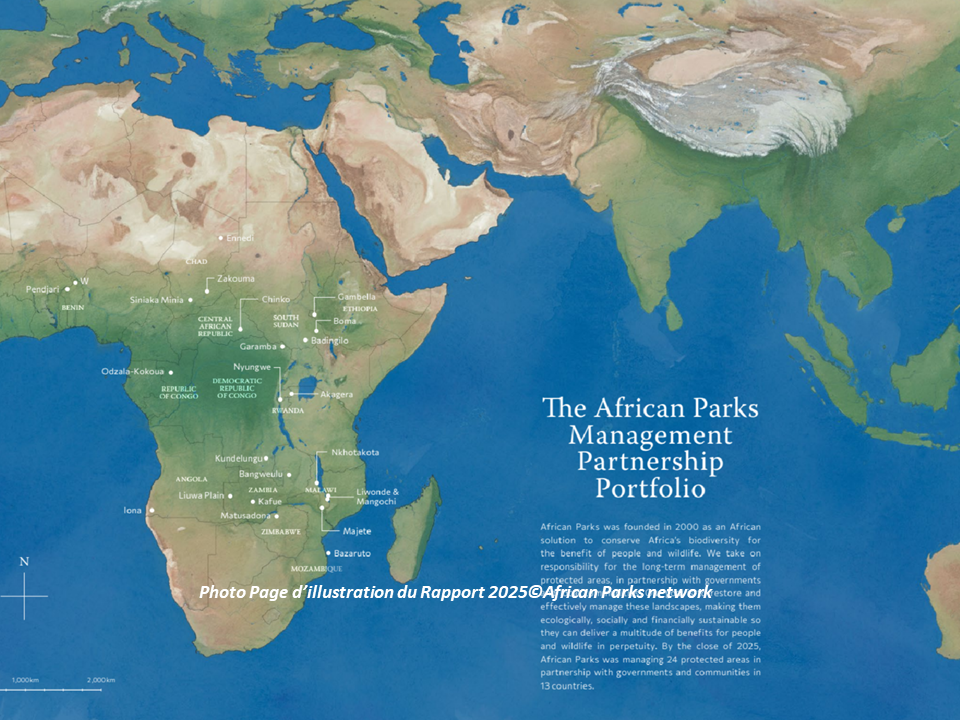 🌍 25 ans d’impact collectif : African Parks, un modèle africain de conservation.